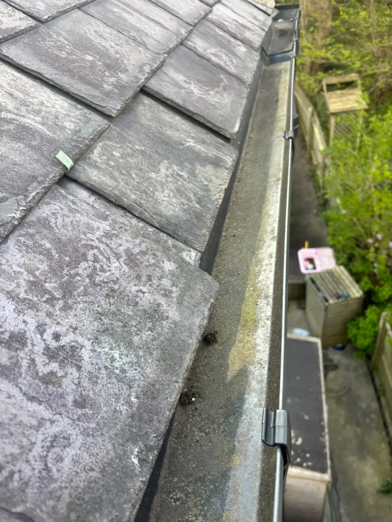 Gutter Cleaning by HK Exterior Cleaning